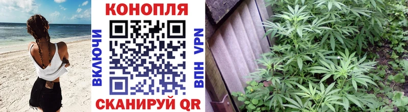 МАРИХУАНА план  Тотьма 